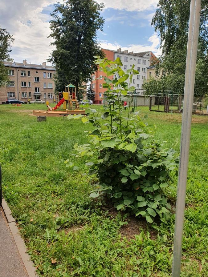 Apartament Erfolg 6 Daugavpils Dış mekan fotoğraf